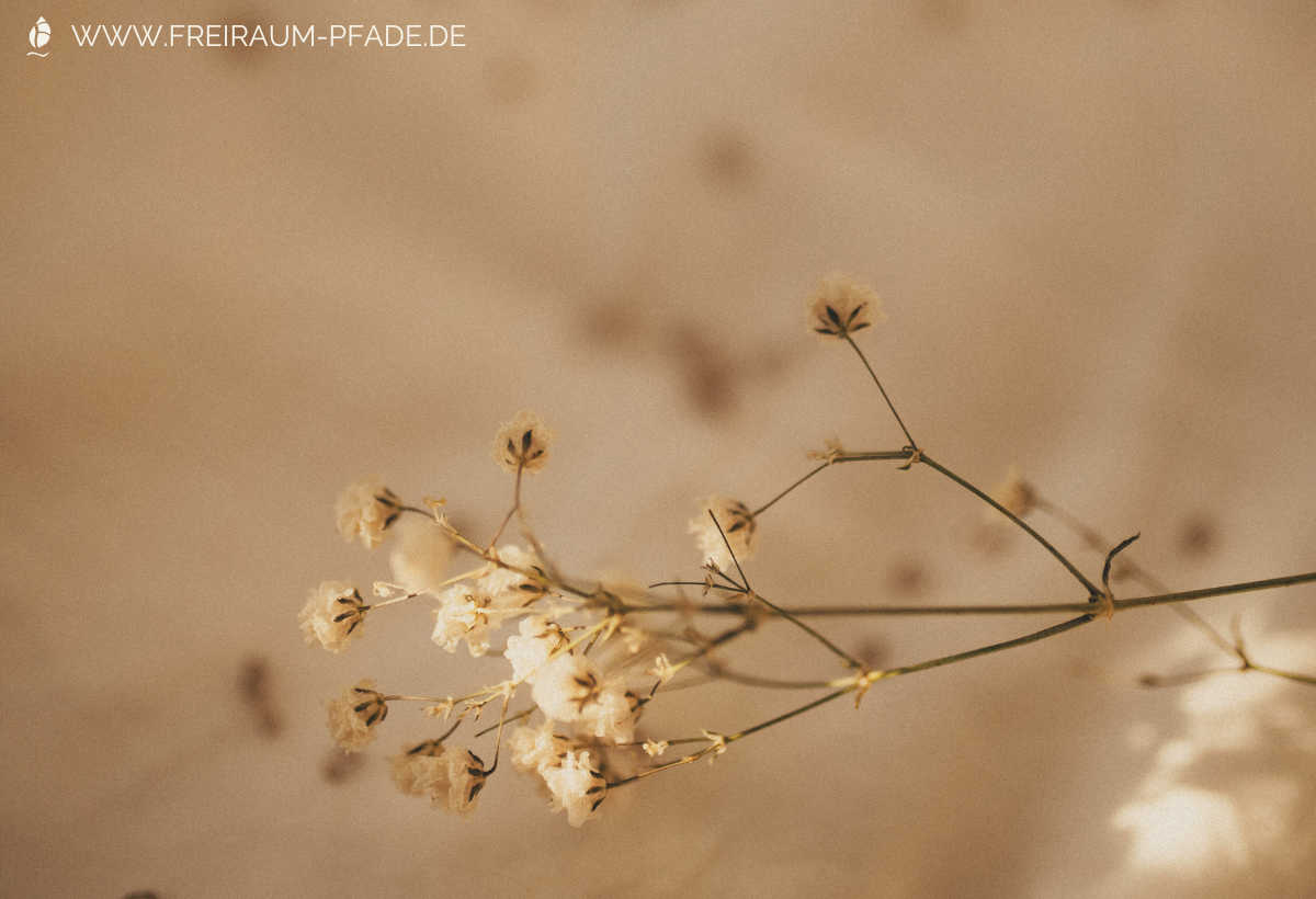 Interview mit mir selbst