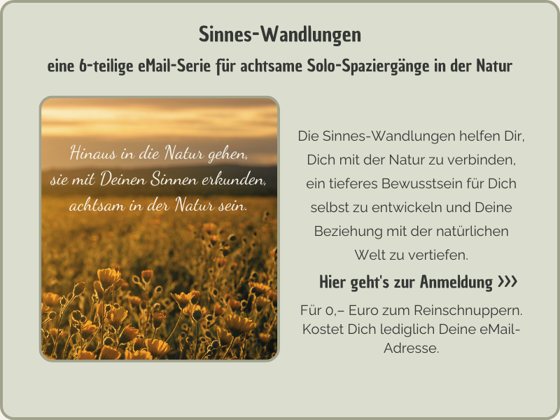 Sinnes-Wandlungen 1 - Anzeige