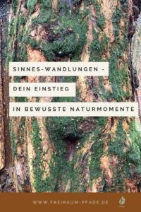 Sinnes-Wandlungen – wenn Naturmomente zu innerer Verbindung werden