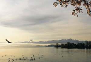 Wie sich Meere, Küsten und Seen auf unser Befinden auswirken