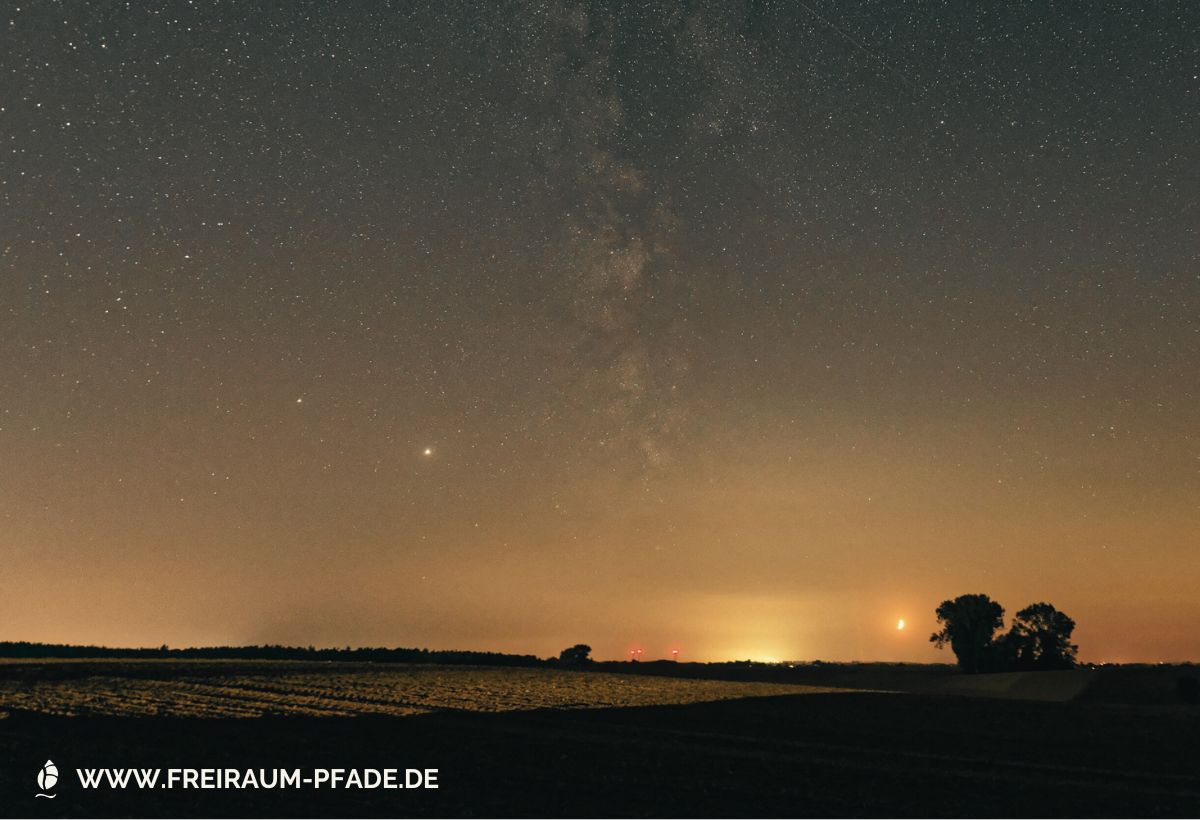 Sternenhimmel mit Milchstraße über einem orangebraunen Horizont mit schwarzen Baumsilhouetten am Rande eines Ackerfeldes
