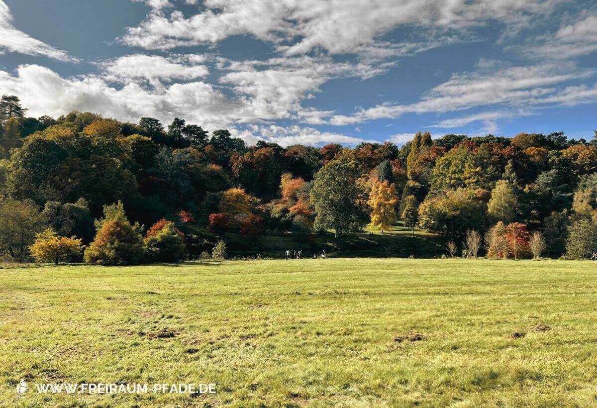 Ein weites grasbewachsenes Feld, dahinter bewaldete Hügel in dunkelgrünen und beigen Herbstfarben unter einem blauen Himmel mit weißen Wolken