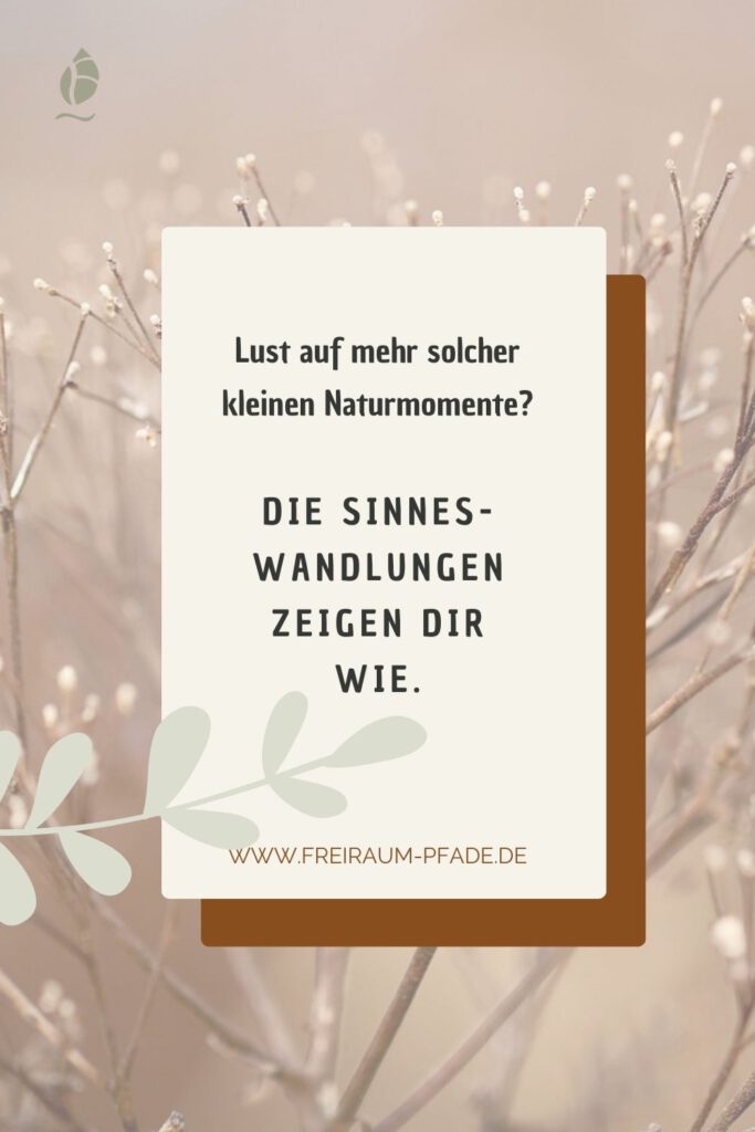 Sinnes-Wandlungen – wenn Naturmomente zu innerer Verbindung werden