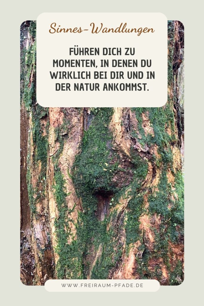 Sinnes-Wandlungen – wenn Naturmomente zu innerer Verbindung werden