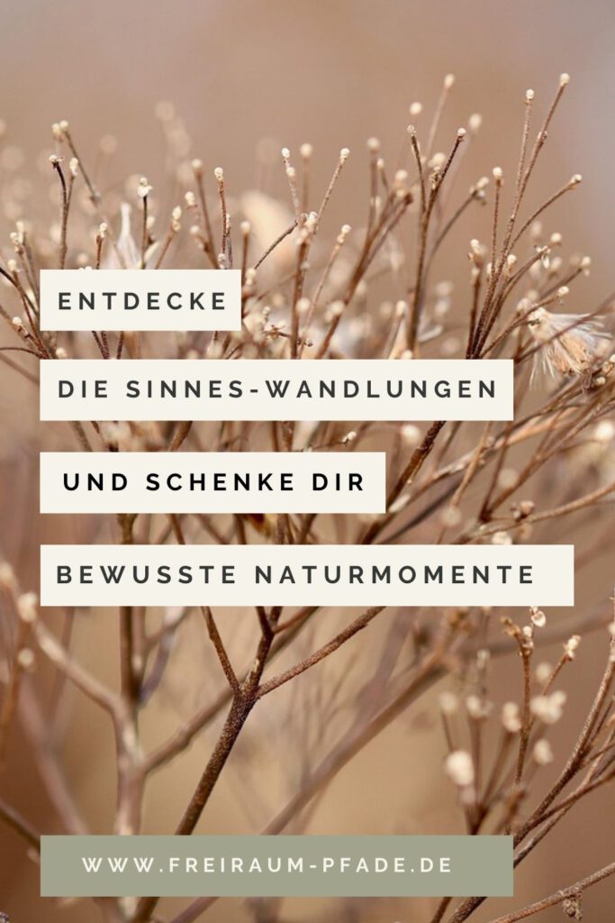 Sinnes-Wandlungen – wenn Naturmomente zu innerer Verbindung werden