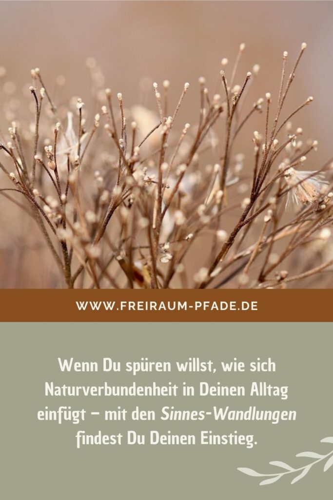 Sinnes-Wandlungen – wenn Naturmomente zu innerer Verbindung werden